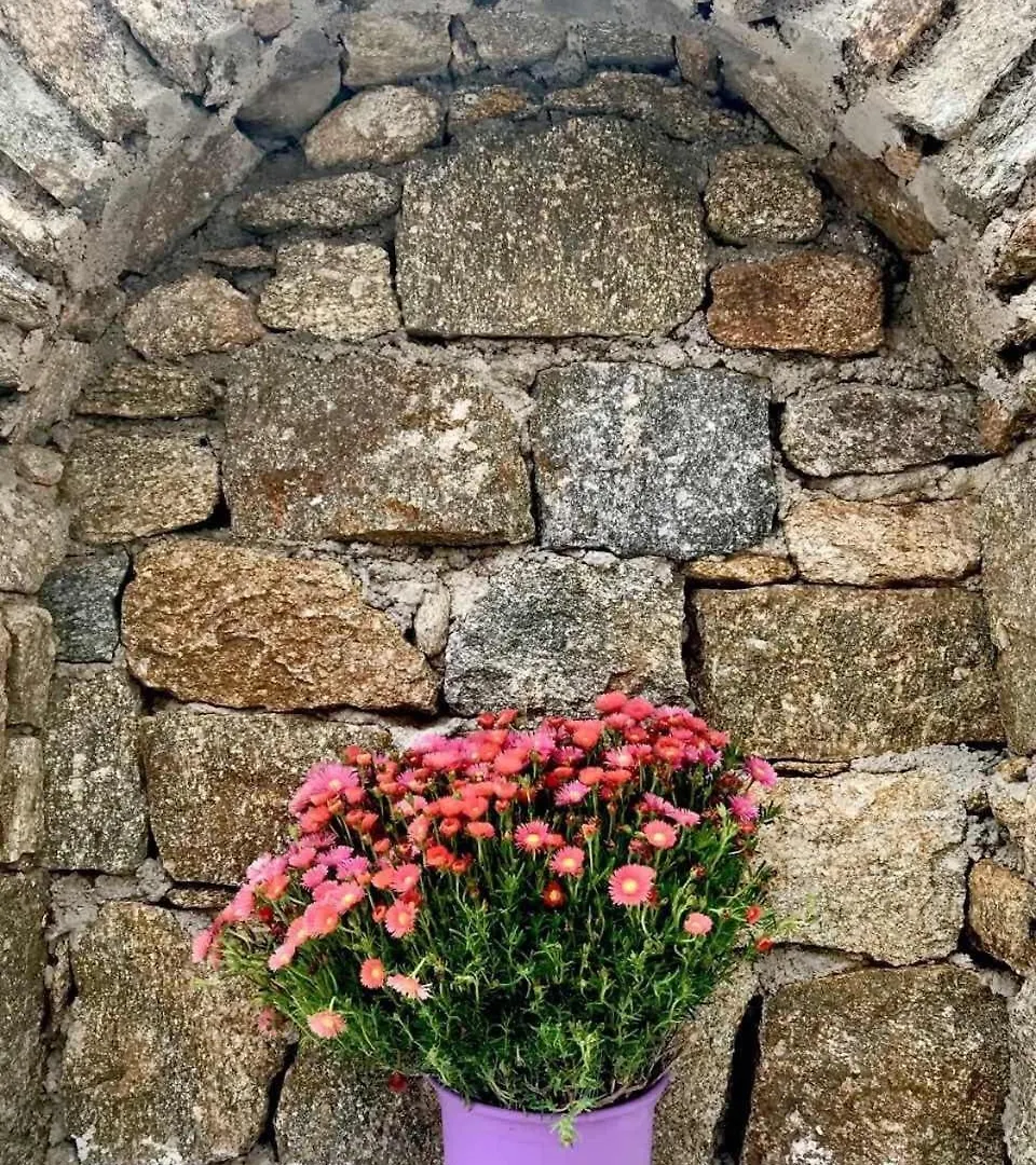 Beautiful Traditional Apt In Ano Mera Mikonos Villa